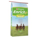 EnrichPlusHorse