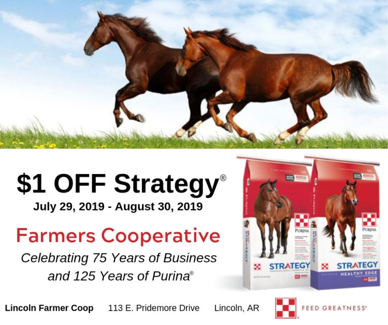 Purina Strategy Horse Feed 1 off at Lincoln Coop