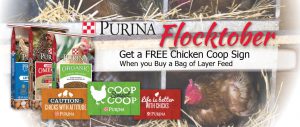 Purina Flocktober Event