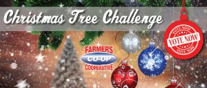 2017 Christmas Tree Challenge at Farmer's Co-op