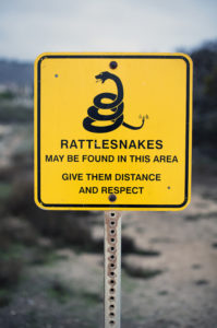 yellow sign with a warning for rattlesnakes