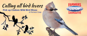 Wild Bird Mixes available at Farmer's Co-op