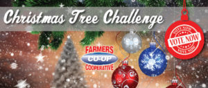 Christmas Tree Challenge at Farmer's Co-op