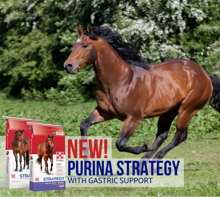 Purina Strategy Update 8 Farmers Coop