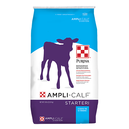 purina ampli