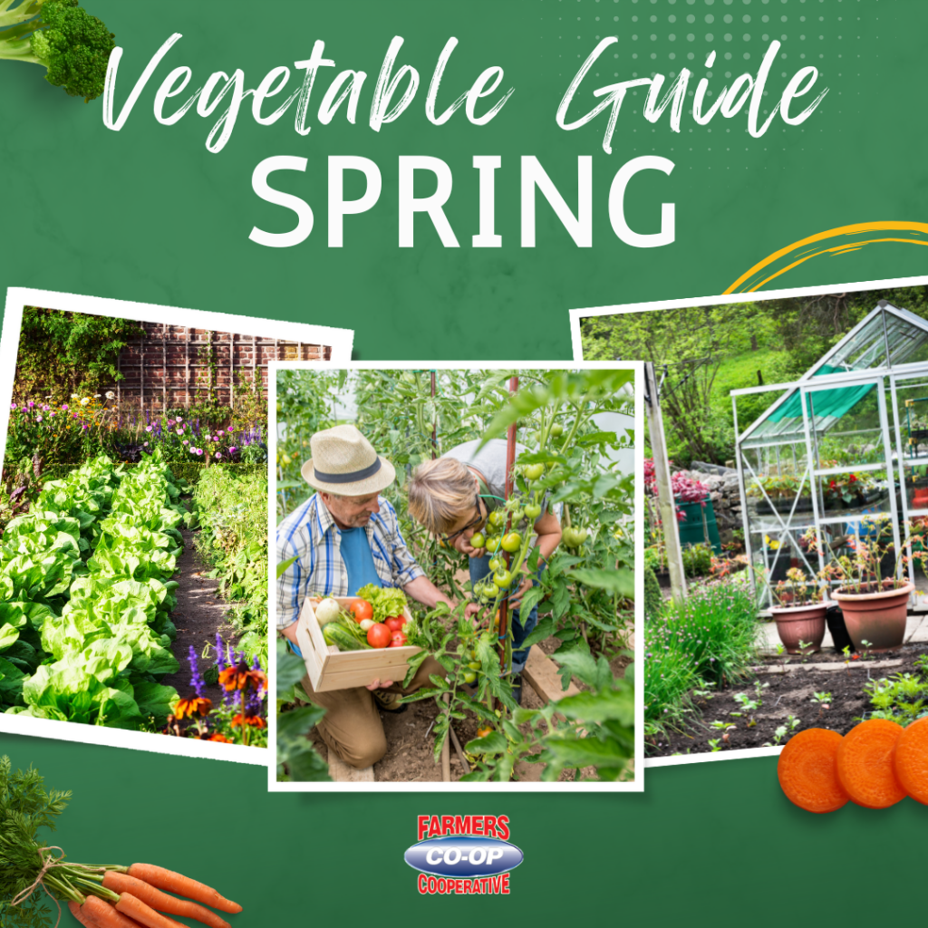 Arkansas Spring Vegetable Garden Guide Farmers Coop