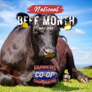 National Beef Month