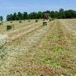 Harvesting Hay 1