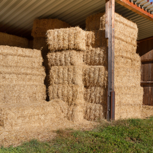 Square hay bales for storage | Stockpiling Forage for Winter