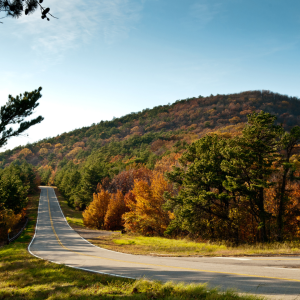 Fall leaves and color in Arkansas