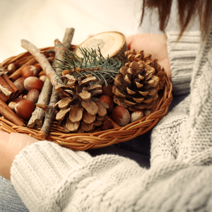 Sustainable Fall Decor. Pinecones make great fall décor.